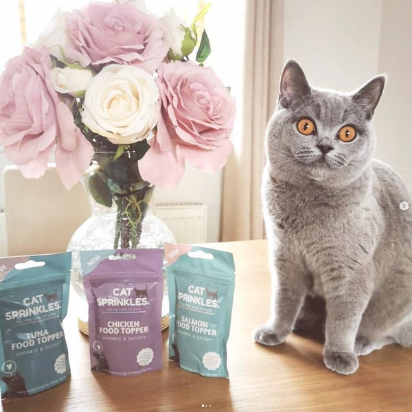 Cat Food Toppers for Fussy Cats CatSprinkles Taster Pack Sprinkles Pets