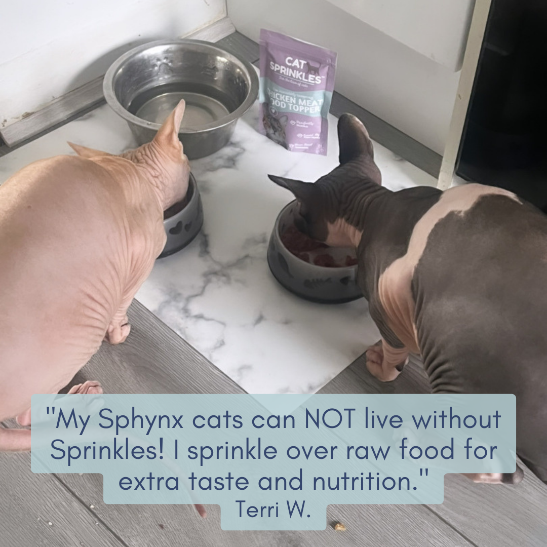 Cat Sprinkles Turkey Food Topper Sprinkles Pets