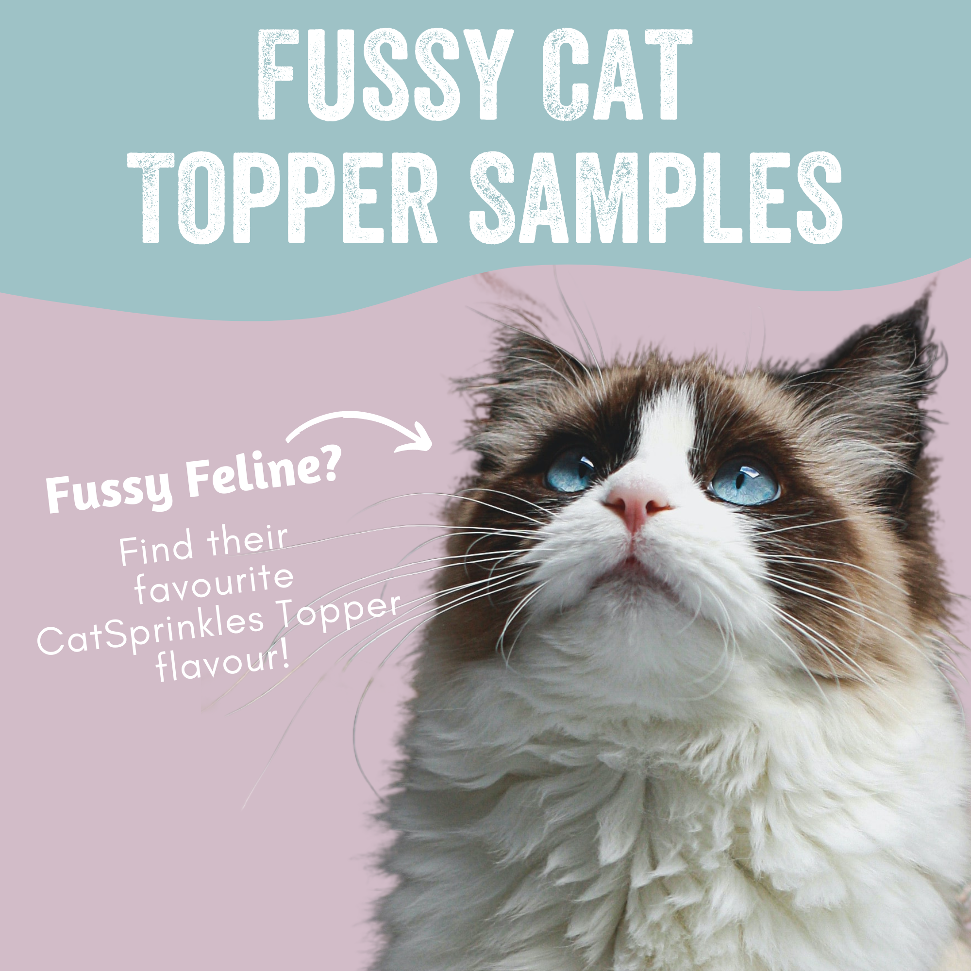 Cat Sprinkles Topper Samples