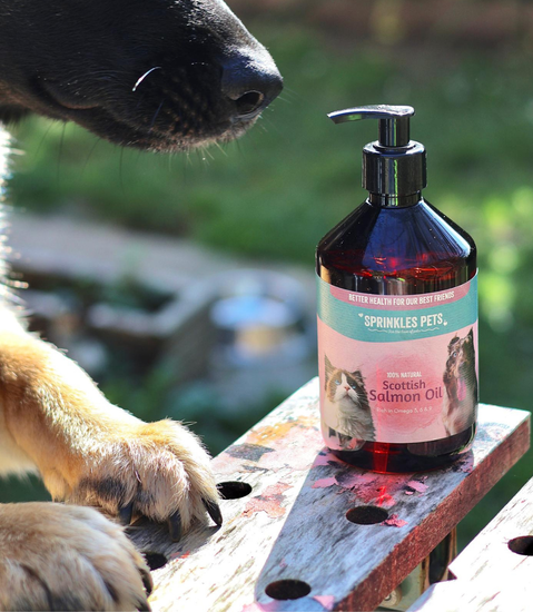 Sprinkles Pets Scottish Salmon Oil for Dogs - 500ml