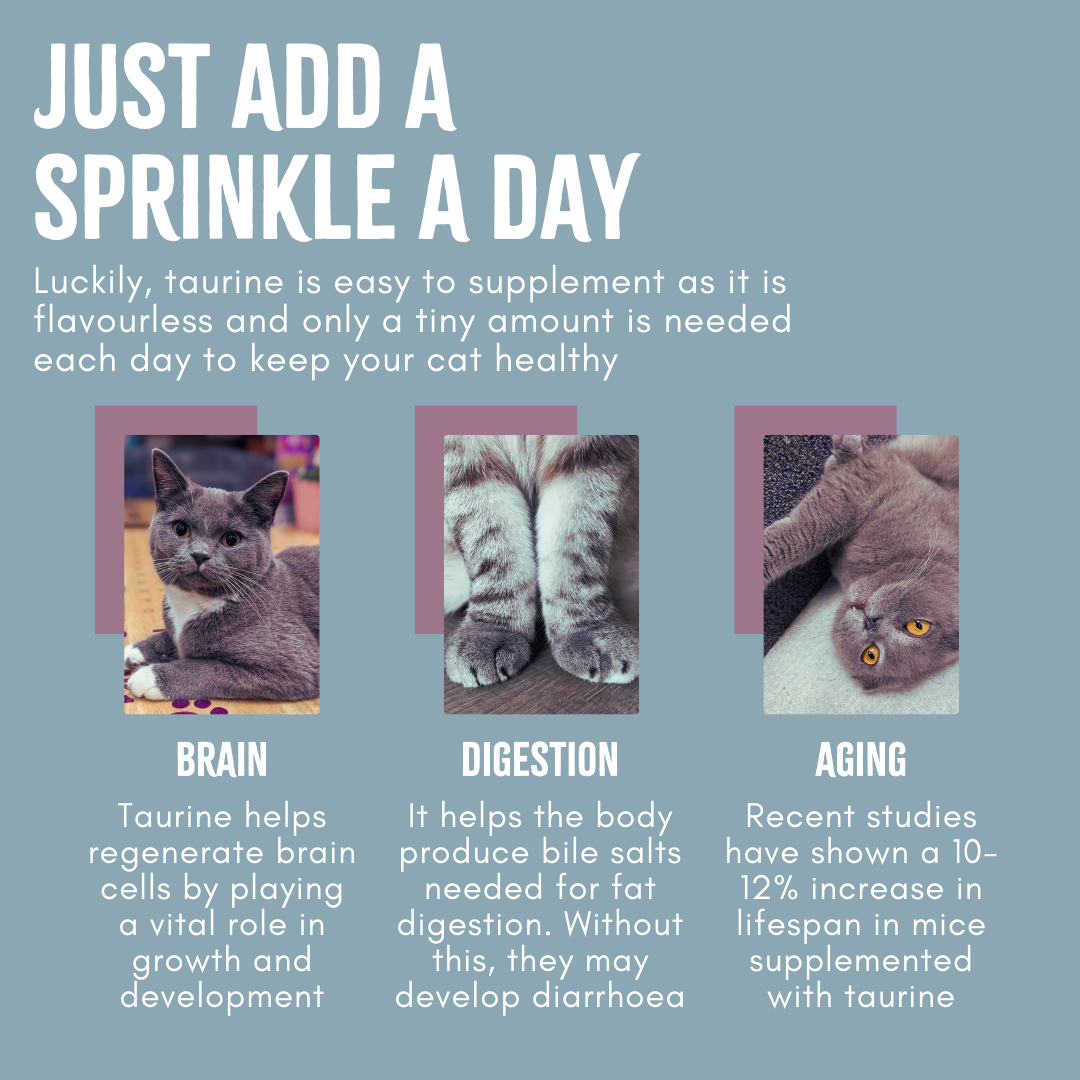 Cat Sprinkles Taurine Longevity Supplement