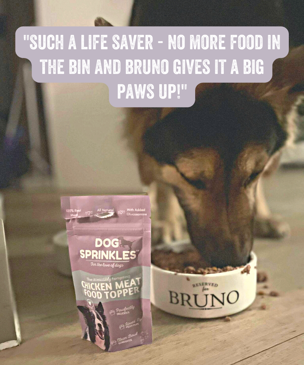 Dog Sprinkles: Chicken Duo Toppers – Sprinkles Pets