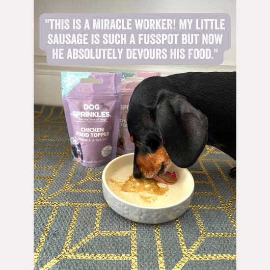 Pet food deals near me now