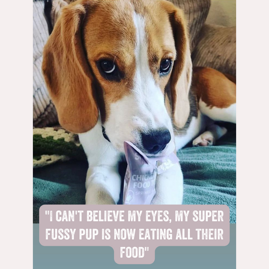 NEW! Dog Sprinkles Salmon Food Topper